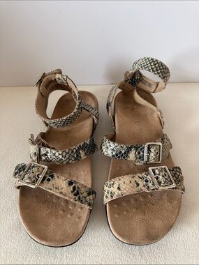 Vionic Sahara Ankle Strap sandals